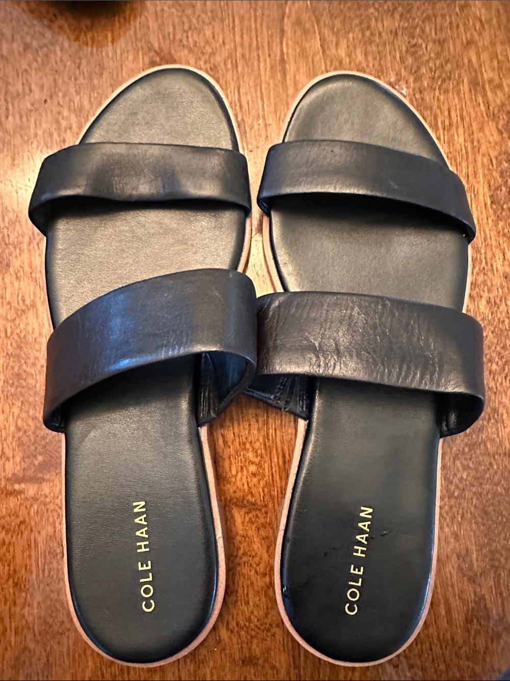Cole Haan Black Leather Double-Strap Slide Sandals
